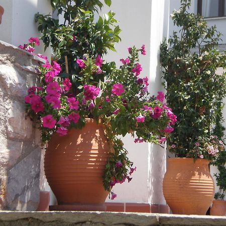 Hotel Pelion Resort ポルタリア エクステリア 写真